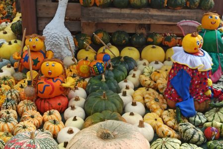 Herbstzauber & Kürbisliebe auf dem Hofladen Schäfer in Hamminkeln( 17.7km )