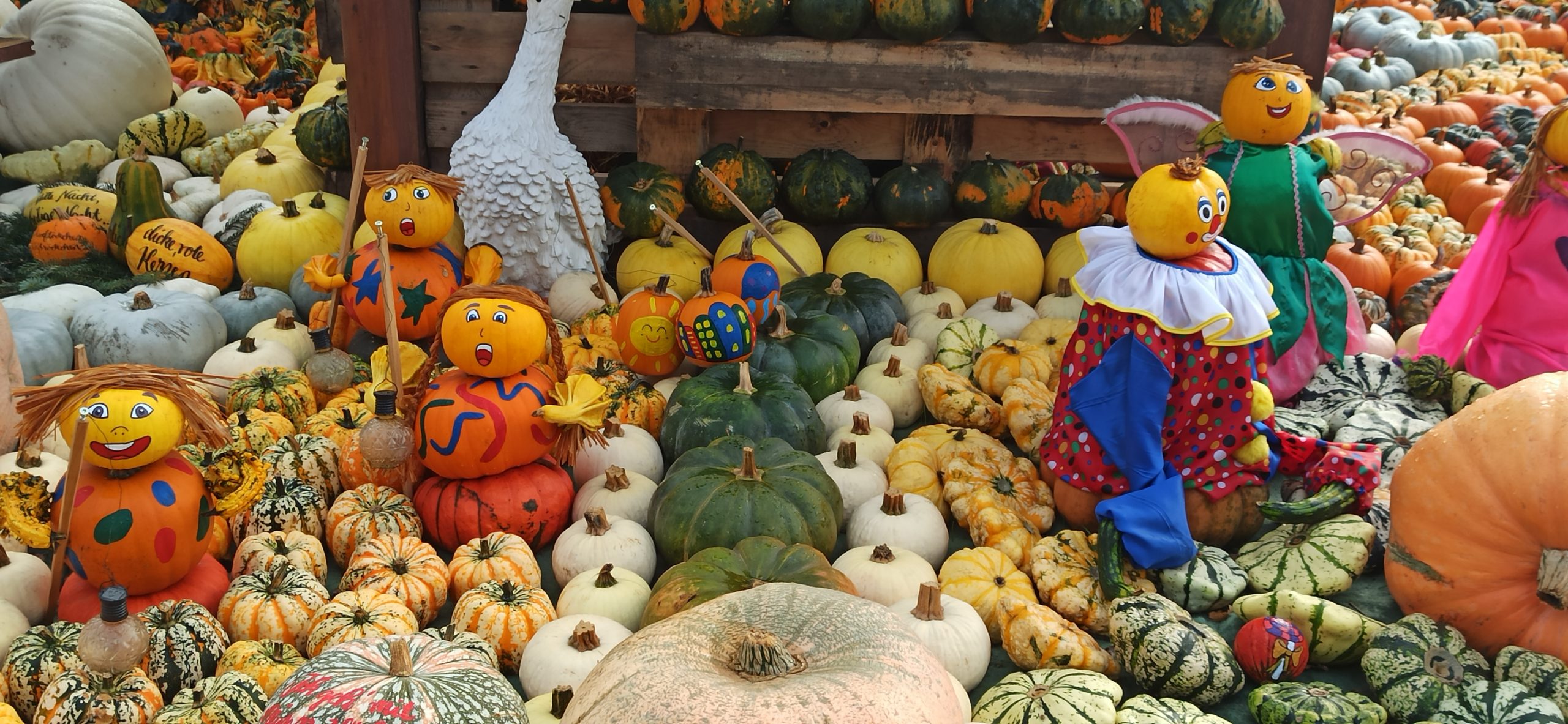 Herbstzauber & Kürbisliebe auf dem Hofladen Schäfer in Hamminkeln( 17.7km )